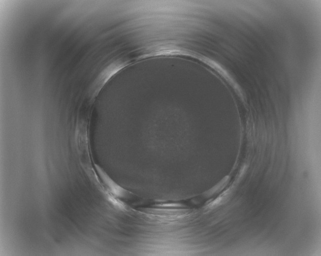 X0000065951289200603101346