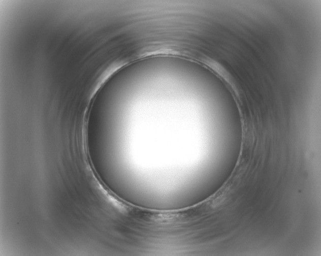 X0000065951290200603101346