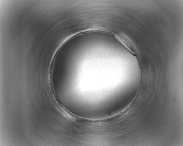 X0000065951292200603101346