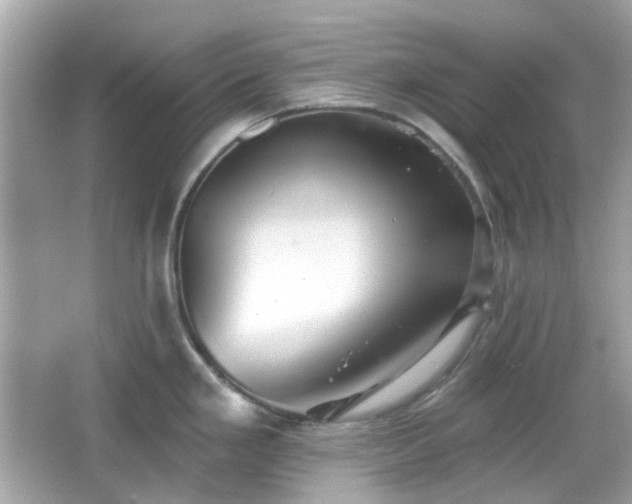 X0000065951293200603101346