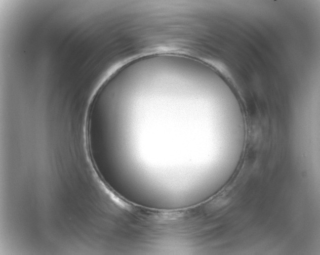 X0000065951294200603101346