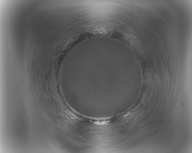 X0000065951297200603101345
