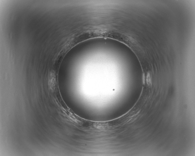 X0000065951299200603101346