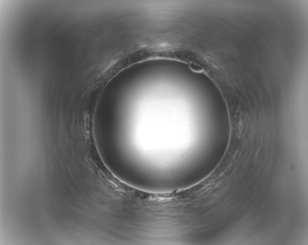 X0000065951301200603101346