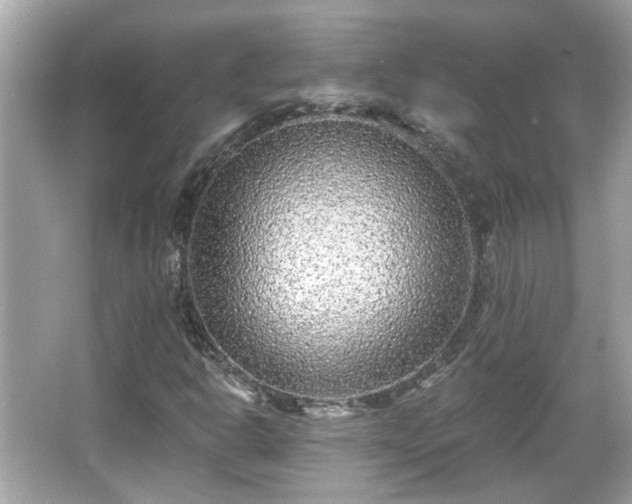 X0000065951302200603101346