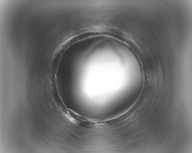 X0000065951304200603101346