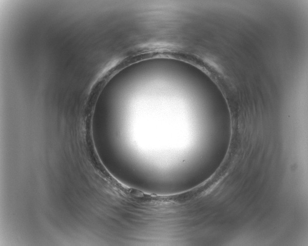 X0000065951309200603101346