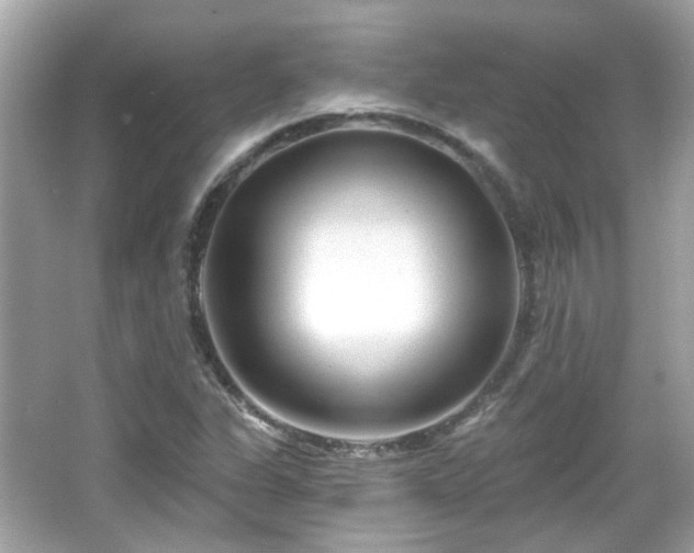 X0000065951311200603101346