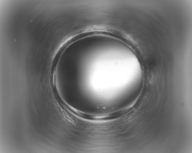 X0000065951312200603101346