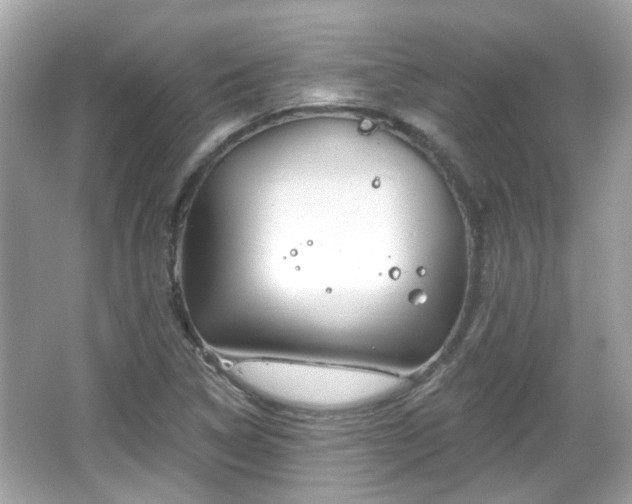 X0000065951314200603101346