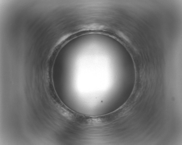X0000065951315200603101346