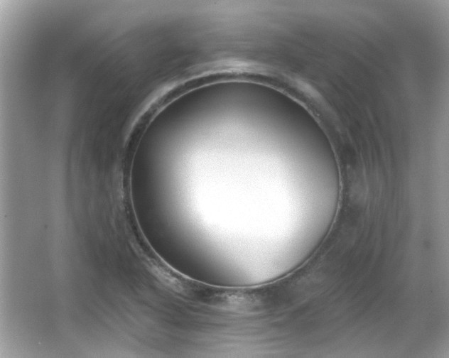 X0000065951318200603101346