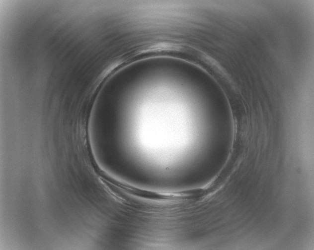 X0000065951321200603101346