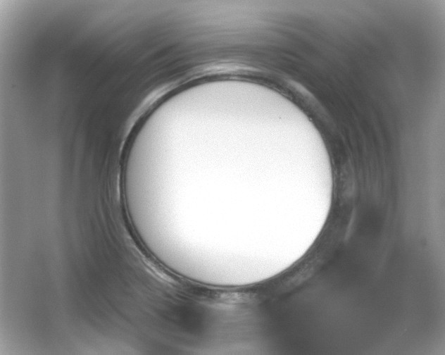 X0000065951322200603101346