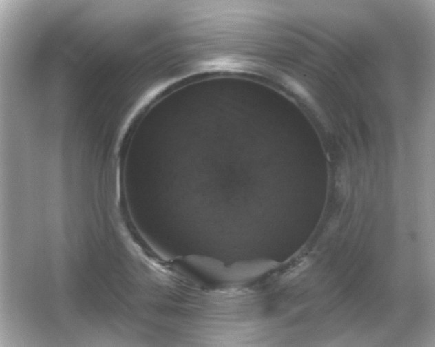 X0000065951323200603101346