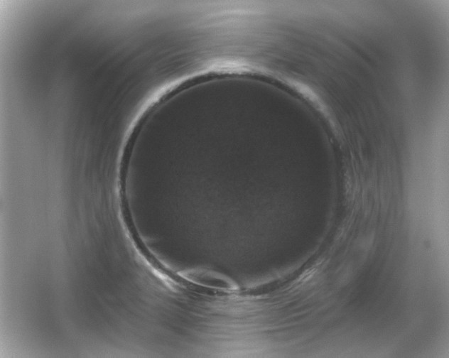 X0000065951327200603101346