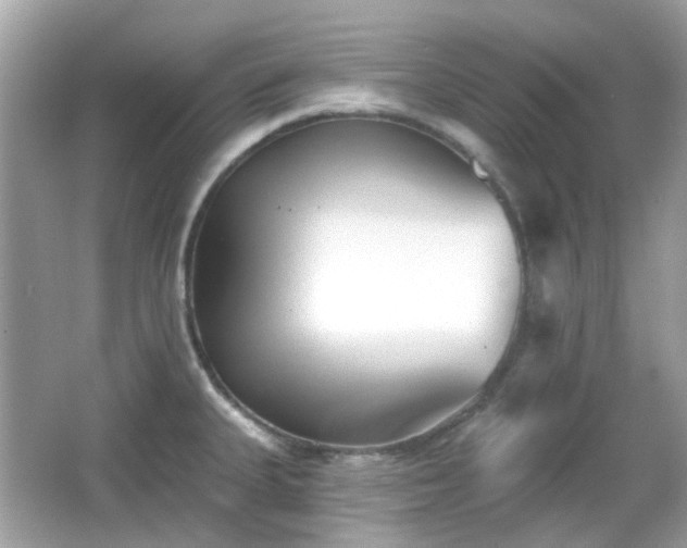 X0000065951335200603101346