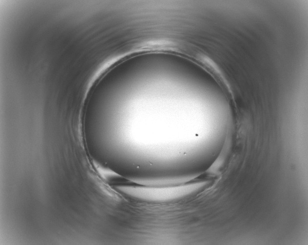 X0000065951336200603101346
