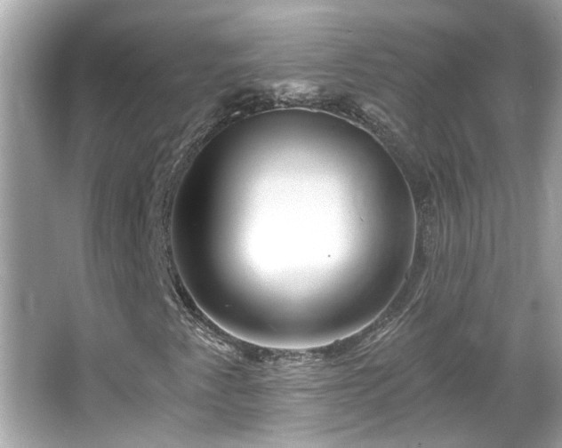 X0000065951345200603101345