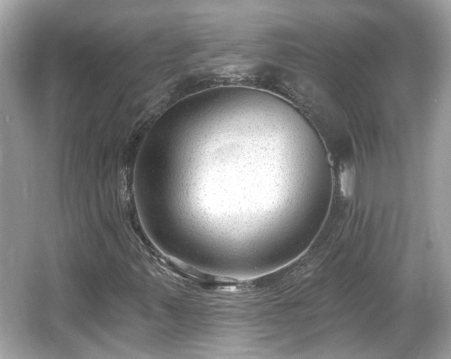 X0000065951347200603101345