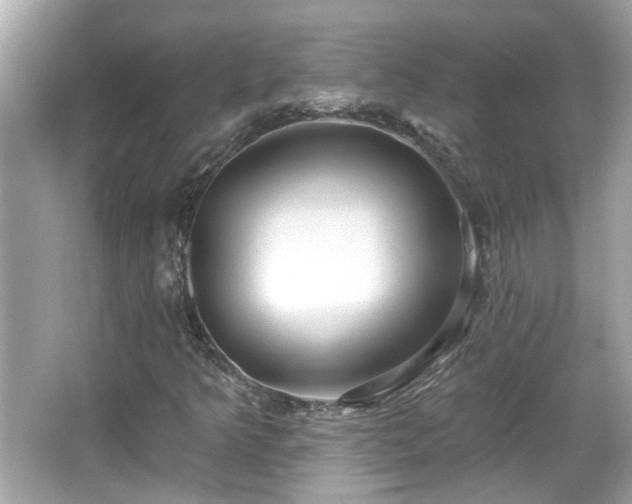 X0000065951349200603101345