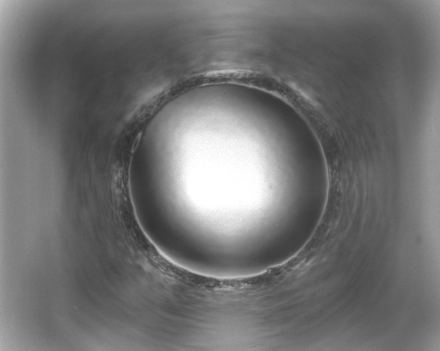 X0000065951351200603101345