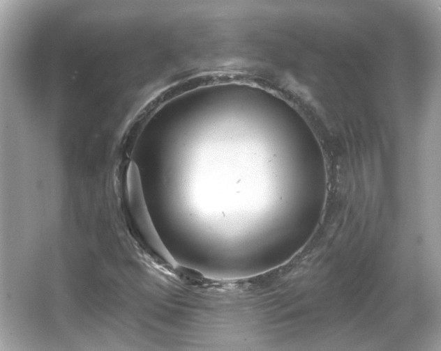 X0000065951352200603101345