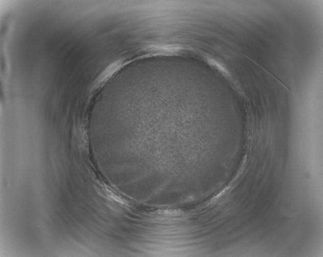 X0000065951354200603101345