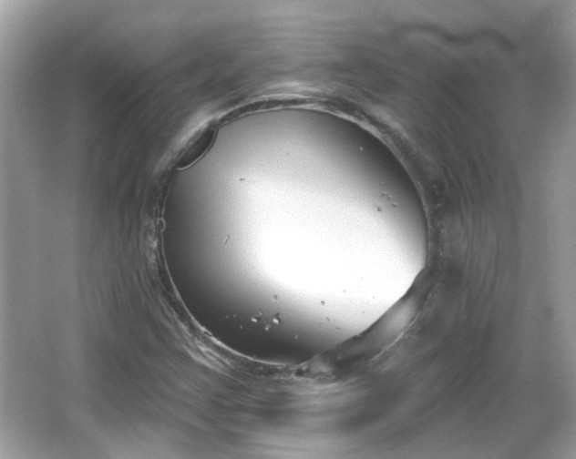 X0000065951355200603101345