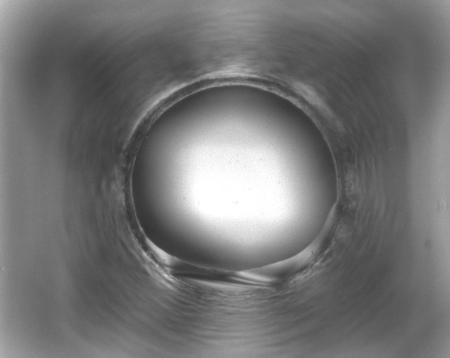 X0000065951356200603101345