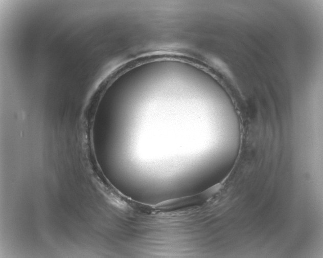 X0000065951360200603101345