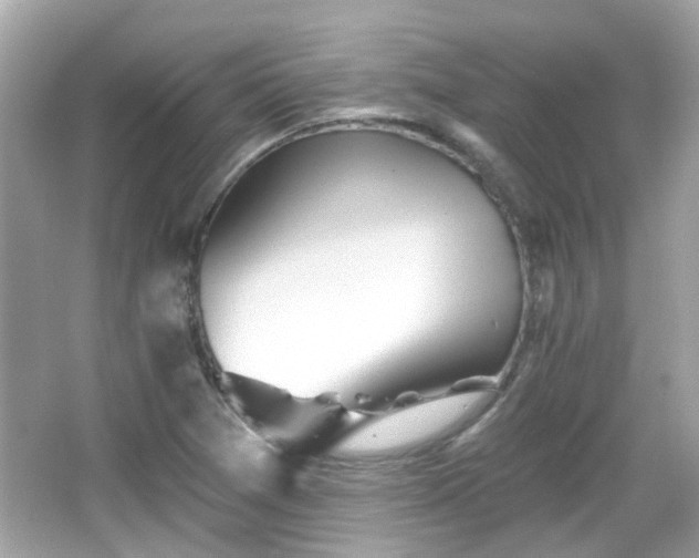 X0000065951361200603101345