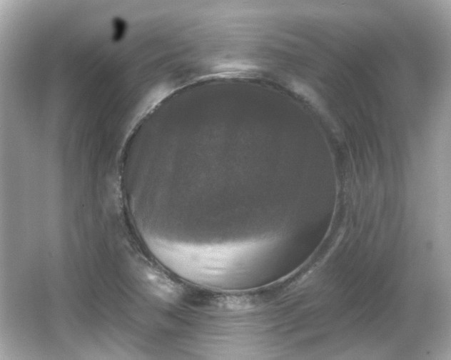 X0000065951362200603101345