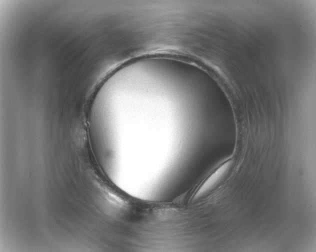 X0000065951363200603101345