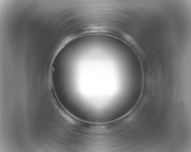 X0000065951370200603101345
