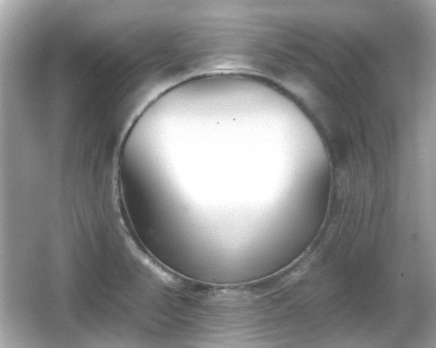 X0000065951374200603101345