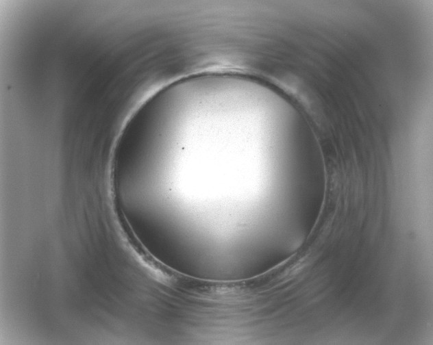 X0000065951375200603101345