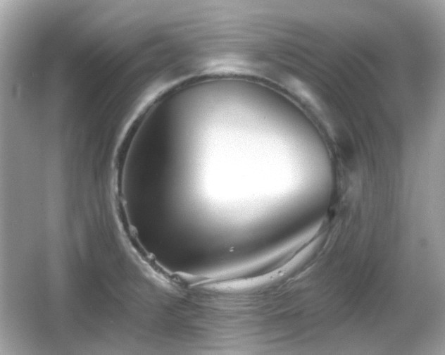 X0000065951376200603101345
