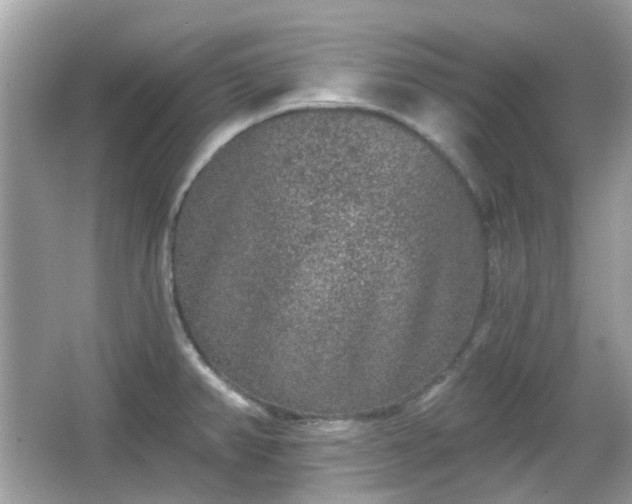 X0000065951382200603101345