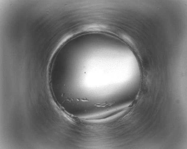 X0000065951384200603101345
