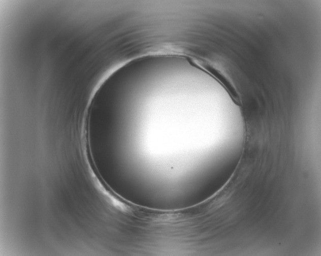 X0000065951387200603101345