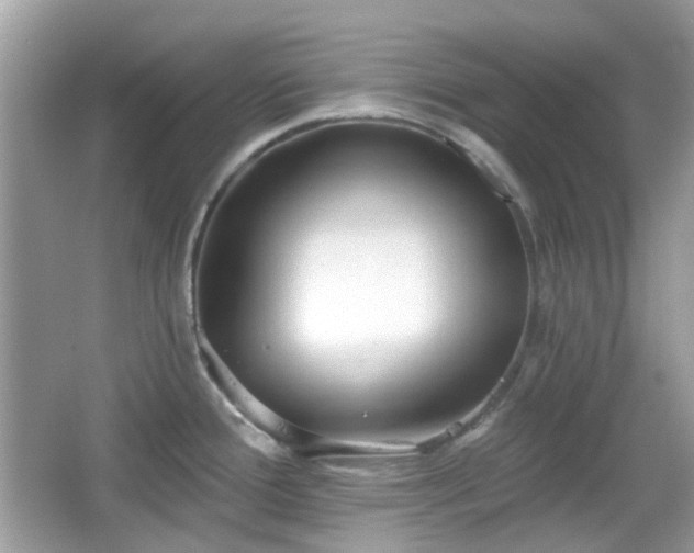 X0000065951388200603101345