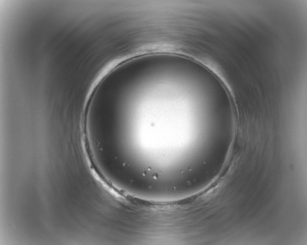 X0000065951389200603101345