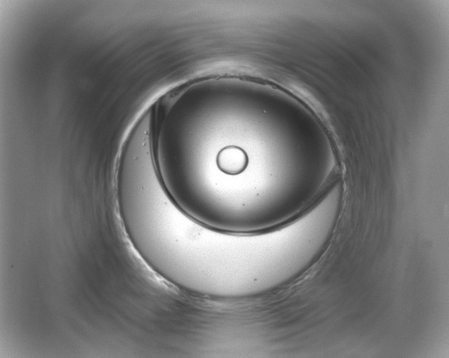 X0000065951392200603101345