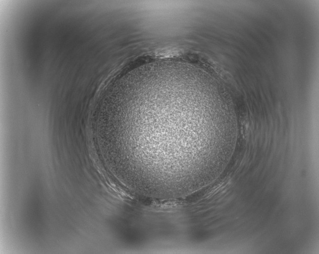 X0000065951393200603101344