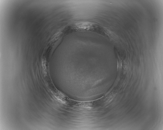 X0000065951394200603101344