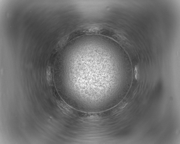 X0000065951395200603101344