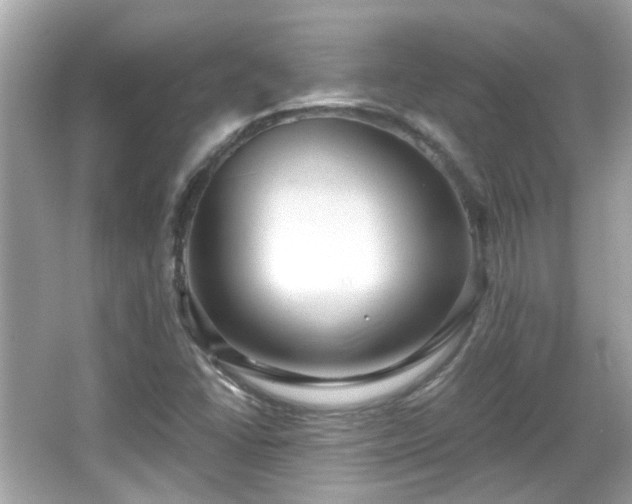 X0000065951406200603101344