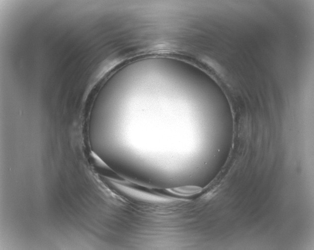 X0000065951410200603101344