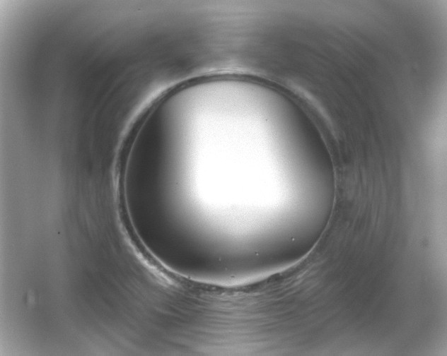 X0000065951416200603101344